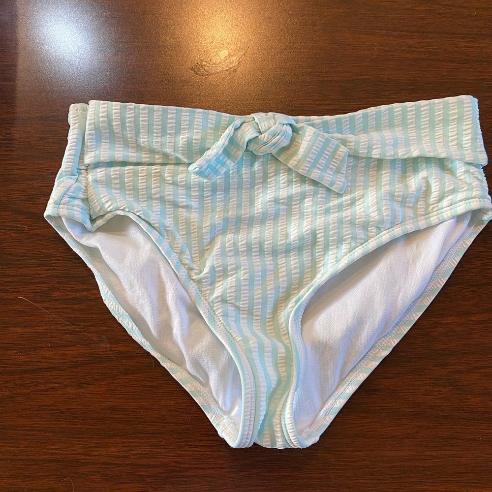 Striped Aqua Bikini Bottoms